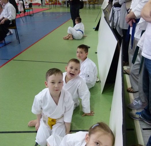 IV Wiosenny Turniej Karate Tradycyjnego o Puchar Burmistrza Oleśnicy